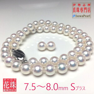 ^ lbNX p[ Ԏ AR^ lbNXZbg sAX CO   V I[ 7.5-8.0mm hd-75sp