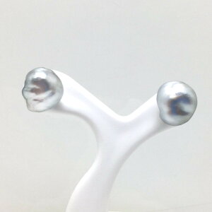 ^ sAX p[ PV^ X^bh 9.0-9.5mm Vo[O[ Pt900 v`i 79387 C\p[