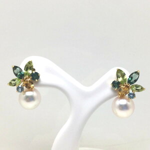 ^ sAX p[ AR^ X^bh 7.8mm zCgsN K18 CG[S[h VR 74009 C\p[