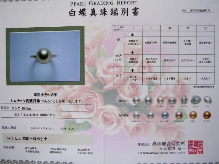 楽天市場】真珠 リング パール GoldLip花珠 白蝶真珠 10.5mm ゴールド 