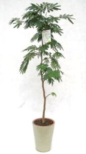 JXj27~@ϗtA@Go[tbV8@29,700~i27,000~Ŕj@픫EoXPbg