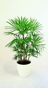 JXj27~@ϗtA@V`N8@29,700~i27,000~Ŕj@픫EoXPbg