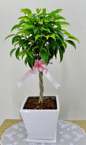 JXj15~@ϗtA@xW~6@픫iMtj@16,500~i15,000~Ŕj