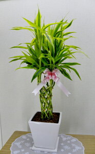 JXj15~@ϗtA@K^̒|iTfA[ij6@픫iMtj@16,500~i15,000~Ŕj