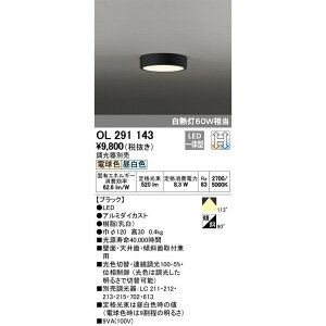 �y�ԕi�� �ۏؗL�z �V�[�����O���C�g �yOL 291 143�z �Z��p�Ɩ� �C���e���A �m OL291143