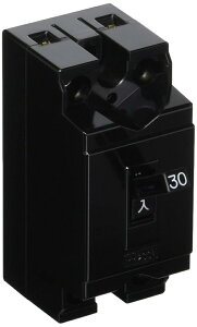 ���S�u���[�J AC110/220V B-2EA2P2E30A