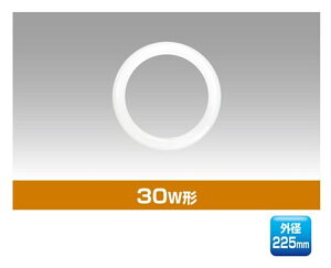 30W�T�[�N�����C���^LED�Ɩ� 5000K �����F YRS10WH-225-W2/N