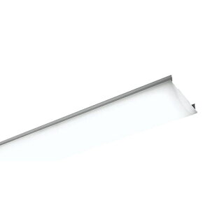 ���C�g�o�[ 5000K NNL4600ENTRC9