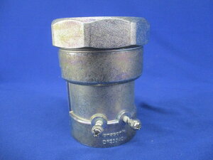 �˂��Ȃ��h���R���r�l�[�V�����J�b�v�����O �Ă�G42-50 DFZ5542