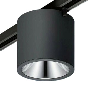 yԕi ۏؗLz^V[OCg z_Ngp LED200` Fʔ˔/ubN 5000K NCN29310SLE1