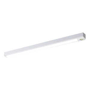 NNLG41109+NEL4405GN LE9 LED��퓔 5000K XDL443NGNLE9