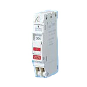 �R���p�N�g�u���[�J 2P2E 20A AC100/200V BSH2202