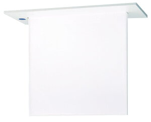 【返品可 保証有】天井埋込型LED誘導灯 B級・BL形(20B形) 電池内蔵型 表示板別売 リモコン別売 FA20352CLE1