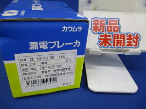 Rdu[J 3P3E30A30mA AC100-200V ZL63-30-30