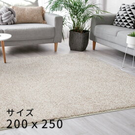 ラグ 洗える 約200×250cm 無地 ホットカーペットOK 抗ウイルス 抗菌 抗アレルゲン 消臭 防ダニ ペット お子様 プレーベル ジャスパーPLUS 日本製