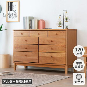 yz120 4i `FXg  ^X \y i ߗ m ^I  [ k C VR ؐ 120cm e o  킢 Vv i` Ch rt ISSEIKI A
