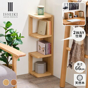 y11/1 |Cg10{IzyzR[i[bN 66.5cm  X R[i[ VFt  I[v  {I cu u ubNGh I[N ؐ C Xy[X fXN 