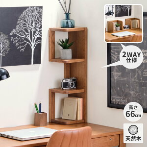 yzR[i[bN 66.5cm  X R[i[ VFt  I[v  {I cu u ubNGh I[N ؐ C Xy[X fXN gC rO x[W 