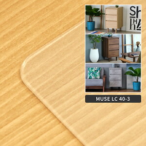 yPS}bĝ݁z~[Y 40cm 3i[`FXgp}bg NA}bg   ] ʓ]ʖh~ 2mm p}bg ی}bg h~}bg h~}bg Ƌ̕ی h~ Vp