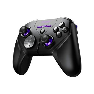 LEADJOY�uXeno Plus�vCOMBO�@������R���g���[���[