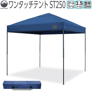 �����^�b�`�e���g ST250 FTS-S250