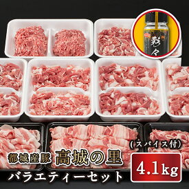 【送料無料】都城産豚 高城の里 バラエティー4.1kg セット スパイス付　豚肉 詰め合わせ 宮崎県産 国産 ブランドポーク ロース 肩ロース バラ モモ 豚ミンチ 切り落とし しゃぶしゃぶ すき焼き 冷凍 宮崎 ギフト 贈答 お祝い 内祝い 就職 誕生日 お取り寄せ 忘年会