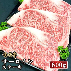 yz{苍T[CXe[L600gi200g×3j 4 Xe[L a o[xL[ BBQ Xe[Lp Ⓚ Mtg  j j  j a Ε YN