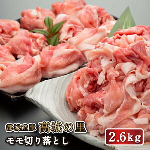 yzsY؁u̗v؂藎Ƃ2.6kg ؓ {茧Y Y l Ԃ Ă ؏ ؂ܐ؂ uh uh|[N Ⓚ { Mtg  j j 
