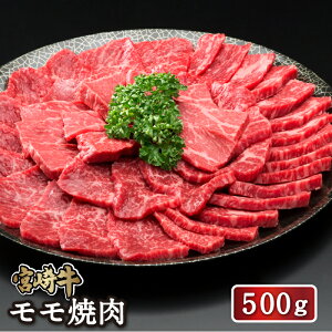 yz{苍ē500g  4  ēp a Ya uh o[xL[ BBQ Ⓚ Mtg  j AEj aj j  Ε YN