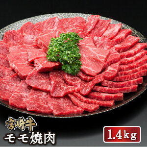 yz{苍ē1.4kg  4  ēp a Ya uh o[xL[ BBQ Ⓚ e z[p[eB[ Mtg  j AEj aj j 
