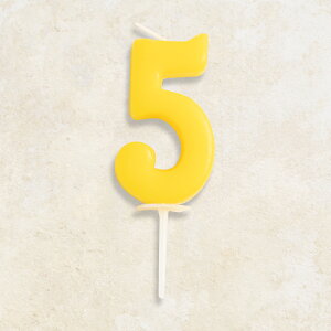 ナンバーキャンドル 数字キャンドル ロウソク ろうそく 誕生日 結婚記念日 還暦 バースデーケーキ 誕生日ケーキ BCC ナンバーキャンドルパステル お祝い 記念日 数字 ナンバー 0 1 2 3 4 5 6 7 8 9