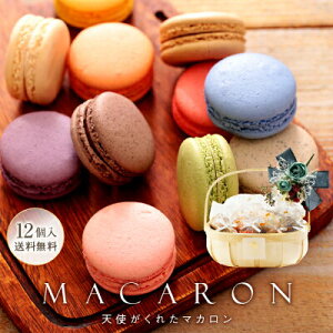 {t }J  12 Mtg a ސE َq    j av[g XC[c 肪Ƃ oYj lC  킢  I 䋟 