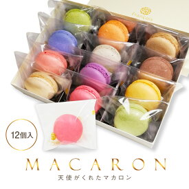 マカロン 12個入 ギフト 誕生日プレゼント 女性 出産内祝い 退職 お菓子 異動 挨拶 お世話になりました 焼き菓子 個包装 プチギフト [冷] かわいい スイーツ お礼 内祝い 結婚内祝い 洋菓子 手土産 産休 チョコレート 天使がくれたマカロン フランソワ 送料無料