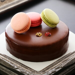 ӂUbnge aP[L o[Xf[P[L `R[gP[L 5 `R[g XC[c Mtg v[g  َq P[L a j mَq Ԃ lC j 