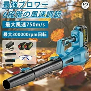 y2025NVzyZiKzu[  [du[  WFbghCu[ d GA_X^[ R[hX uA[ ^ y dCGA_X^[ ^[{WFbgt@