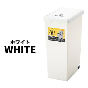 S~  { 45bg X 45L  t^t _Xg{bNX k  Pi