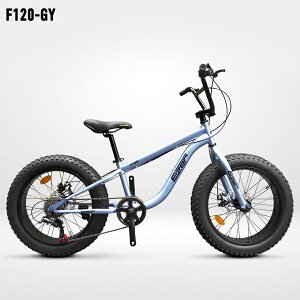 y18聚|Cg2{zyAEgbgzyz͂̐Vɑ^C t@bgoCN 20C` WfBXNu[L 3D̃t[ V}m7iϑ 20x4.0 FATBIKE r[`N[U[ 