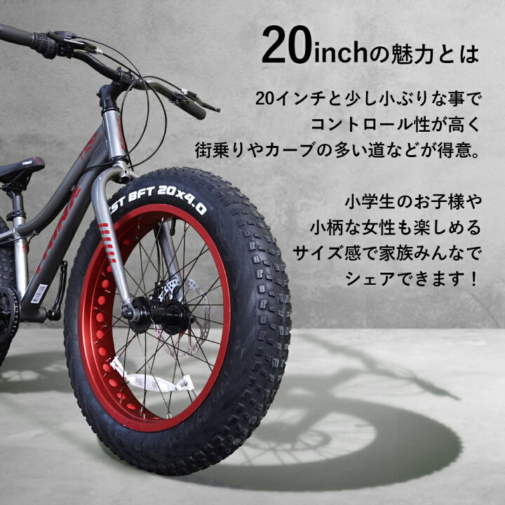 楽天市場】【ブラックフライデー☆ポイント5倍】【送料無料】迫力の 