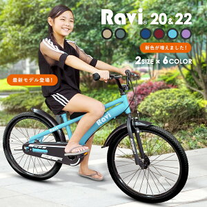 インチ 女の子 自転車の通販 価格比較 価格 Com