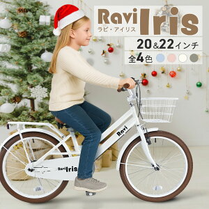 y}\|Cg2{zyNX}Xv[gɁzyz qp] Ravi Iris r ACX 20C` 22C` Ot ̎q WjA] w y ʊw K