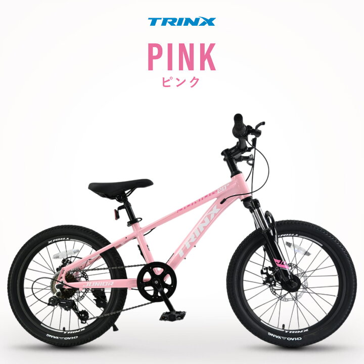 楽天市場】【送料無料】【子ども用自転車】20インチ 本格派マウンテン 