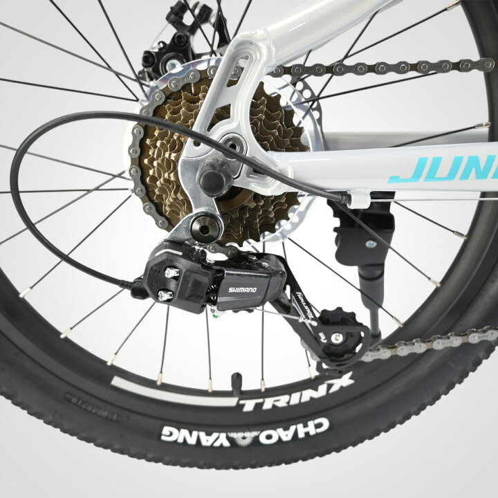 楽天市場】【送料無料】【子ども用自転車】20インチ 本格派マウンテン 