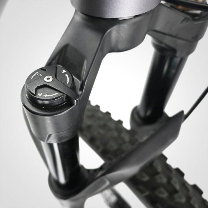 楽天市場】【送料無料】マウンテンバイク ダブルディスク 29インチ 
