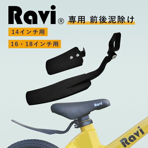 y_tf[|Cg2{zRAVIp D悯 D Jo[ qp ] OցփZbg RAVI r C EIZER AC[