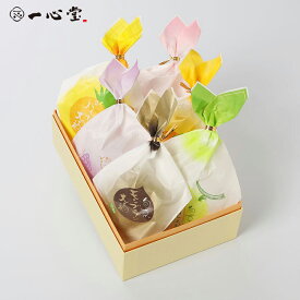 一心堂 フルーツ大福 6個入 ギフト 詰め合わせ 和菓子 お取り寄せ プレゼント 手土産 季節のフルーツ