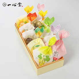 一心堂 フルーツ大福 10個入 ギフト 詰め合わせ 和菓子 贈答用 お取り寄せ プレゼント 手土産