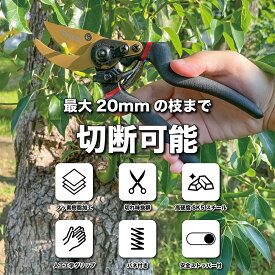 【楽天ランキング6冠達成】剪定ばさみ 枝切ばさみ 剪定鋏 【造園のプロ監修】 植木ばさみ 園芸用品 フッ素コーティング 錆びにくい 剪定バサミ 植木バサミ 植木鋏 園芸ハサミ 盆栽 鋏 園芸用ハサミ 枝切りはさみ Howasuto