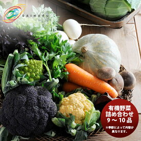 楽天市場 有機野菜 プレゼントの通販
