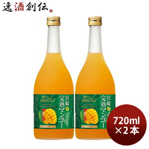 aL[ Yn߂ {芮n}S[ 720ml 2{   { L[ ʎ hV̓