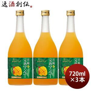  aL[ Yn߂ {芮n}S[ 720ml 3{   { L[ ʎ hV̓